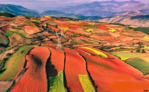 Colorful terraced fields in SW China's Yunnan resemble palette