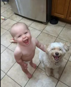 a baby and a puppy laughing together