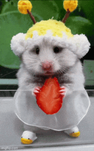 a cute baby is eating a piece of strawberry
