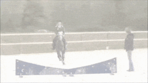 a horse suddenly turned before barrier