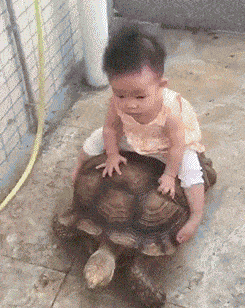 a baby girl is riding a turtle