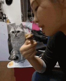 a cat is watching her owner eating