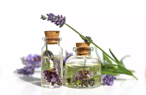 lavender oil